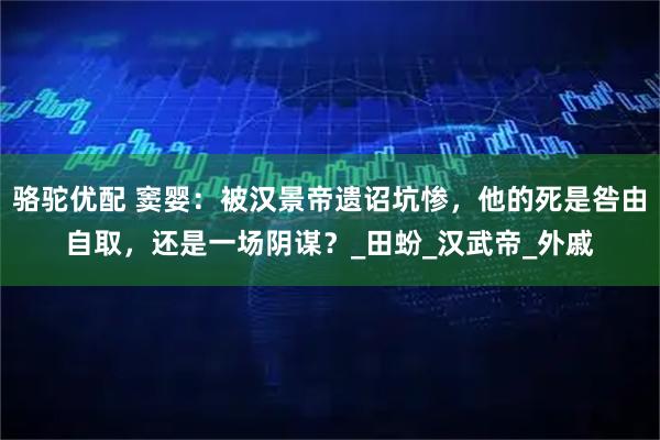 骆驼优配 窦婴：被汉景帝遗诏坑惨，他的死是咎由自取，还是一场阴谋？_田蚡_汉武帝_外戚